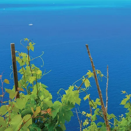 Amazing In With Wifi Διαμέρισμα *