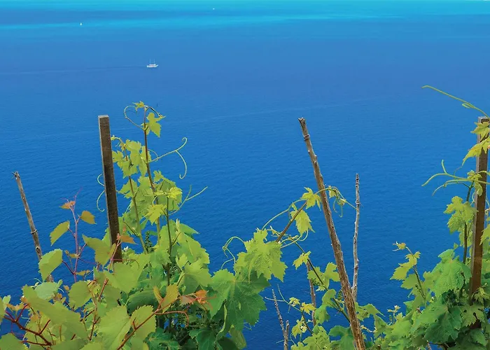 Amazing In With Wifi Appartement *